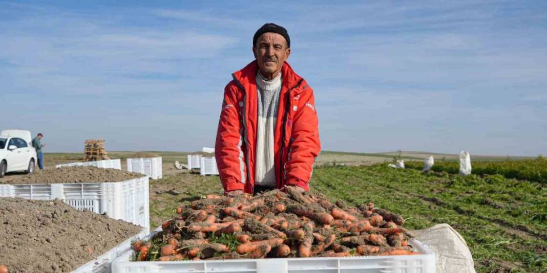 Ankara’da yoğun mesaili hasat vakti! Dönüm başına 10 ton verim bekleniyor: ‘Kalitesi, albenisi, tadı çok farklı’ 4